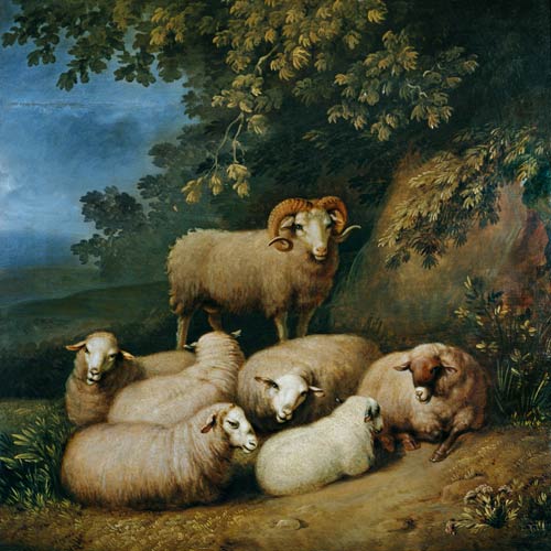 Sheep with ram a Joh. Heinrich Wilhelm Tischbein