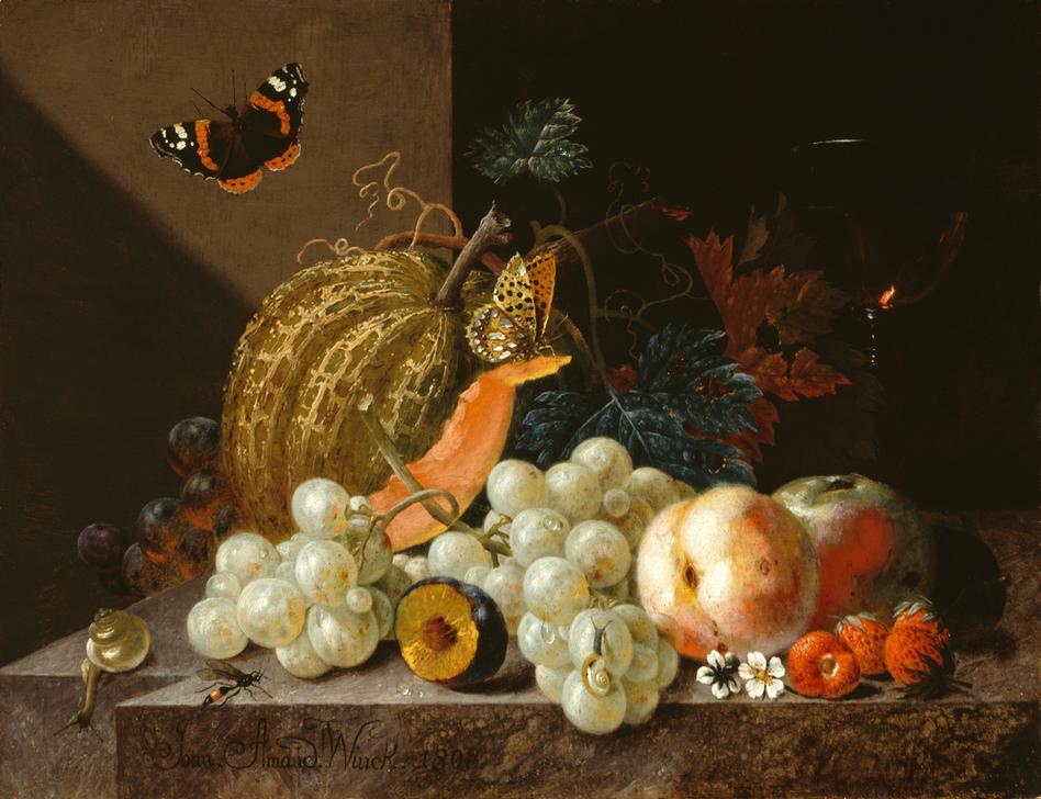 Früchtestillleben mit Weinglas und  Insekten a Johann Amandus Winck