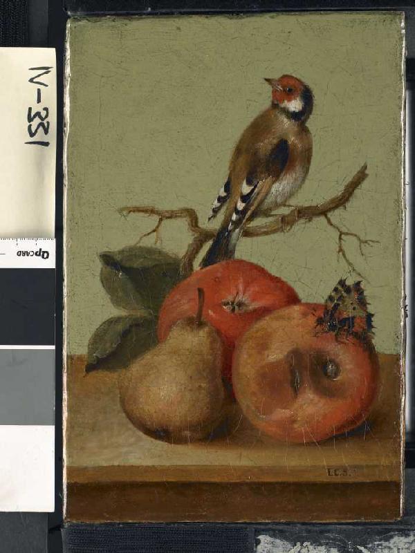 Fruchtstück mit Buntfink und Schmetterling. a Johann Conrad Seekatz