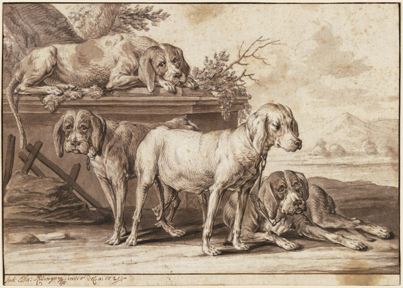 Four hunting dogs a Johann Elias Ridinger