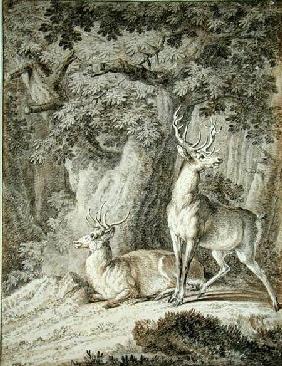 Two Stags
