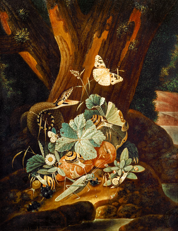 Insekten, Schnecken und Schlange a Johann Falch