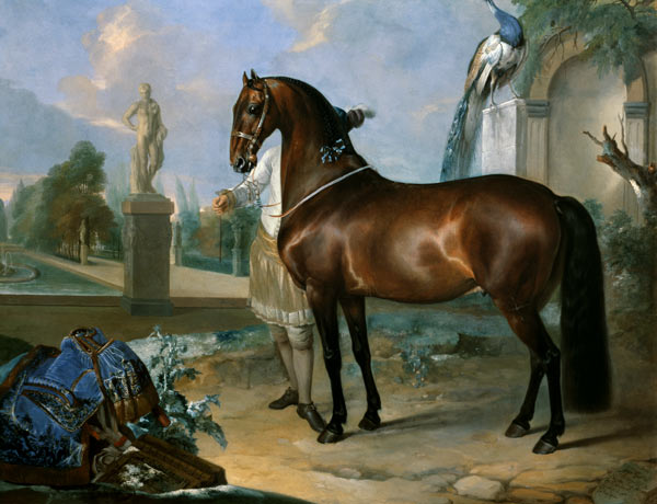The bay horse' Sincero' a Johann Georg Hamilton