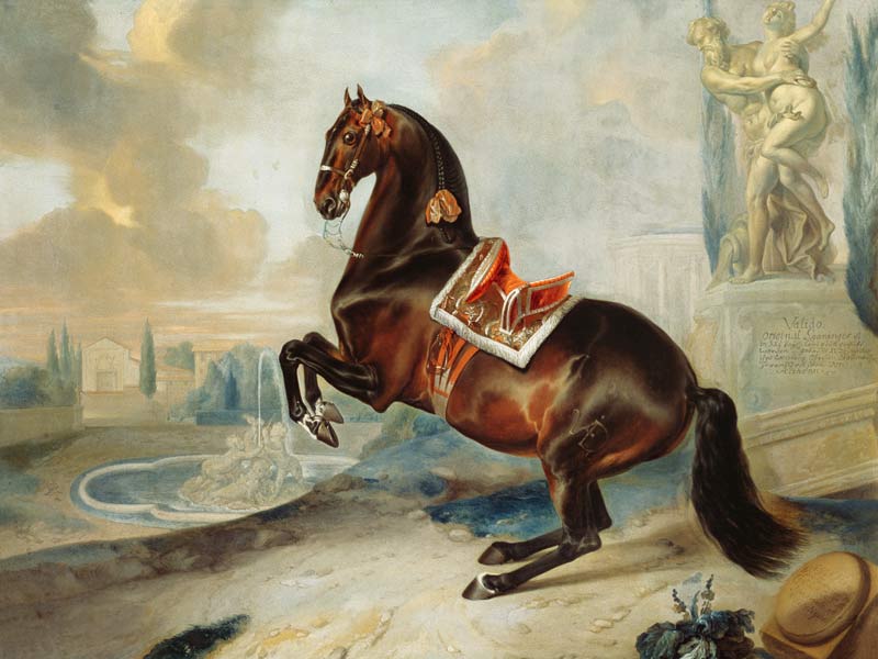The dark bay horse 'Valido' performing a Levade movement a Johann Georg Hamilton