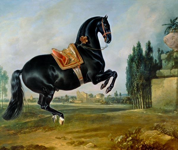 A black horse performing the Courbette, or Croupade a Johann Georg Hamilton