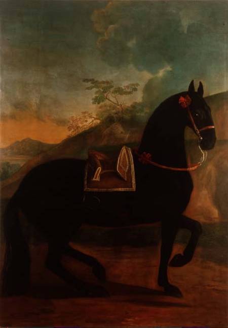 A Black Horse sporting a Spanish Saddle a Johann Georg Hamilton