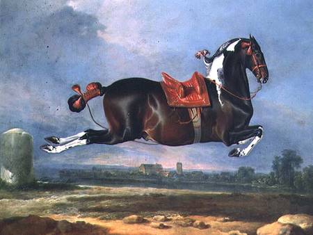 The piebald horse 'Cehero' rearing a Johann Georg Hamilton