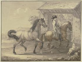 Deutsche Pferde aus Friesland und Holstein
