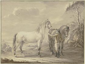Neapolitan horses