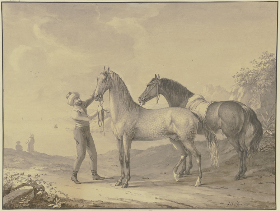 Horses from Tunis a Johann Georg Pforr
