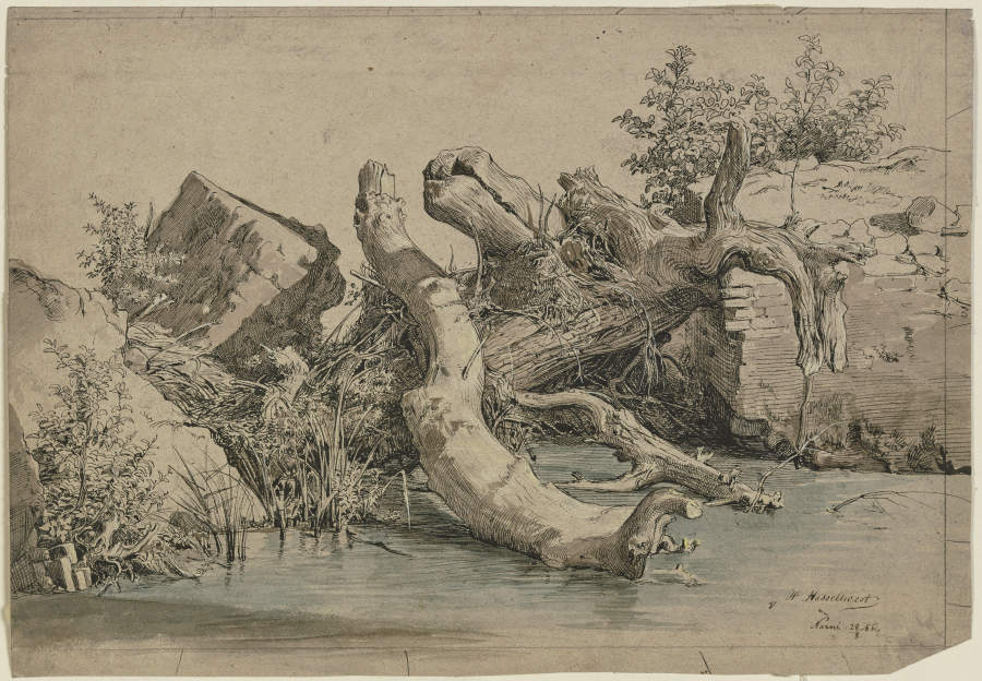 Gestürzter Baum an einem Bach a Johann Heinrich Hasselhorst