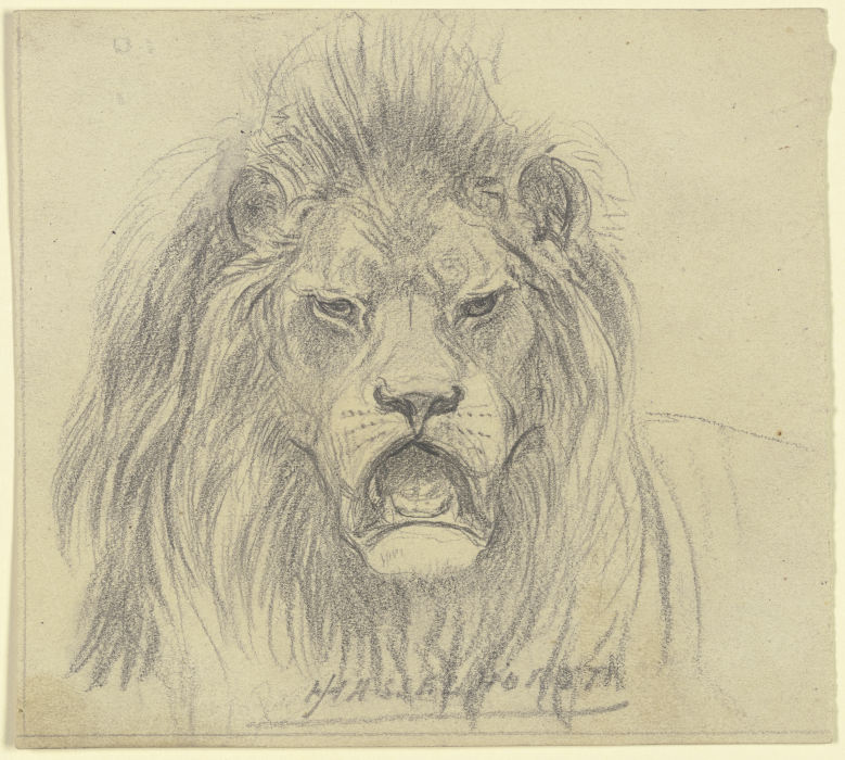 Lions head a Johann Heinrich Hasselhorst