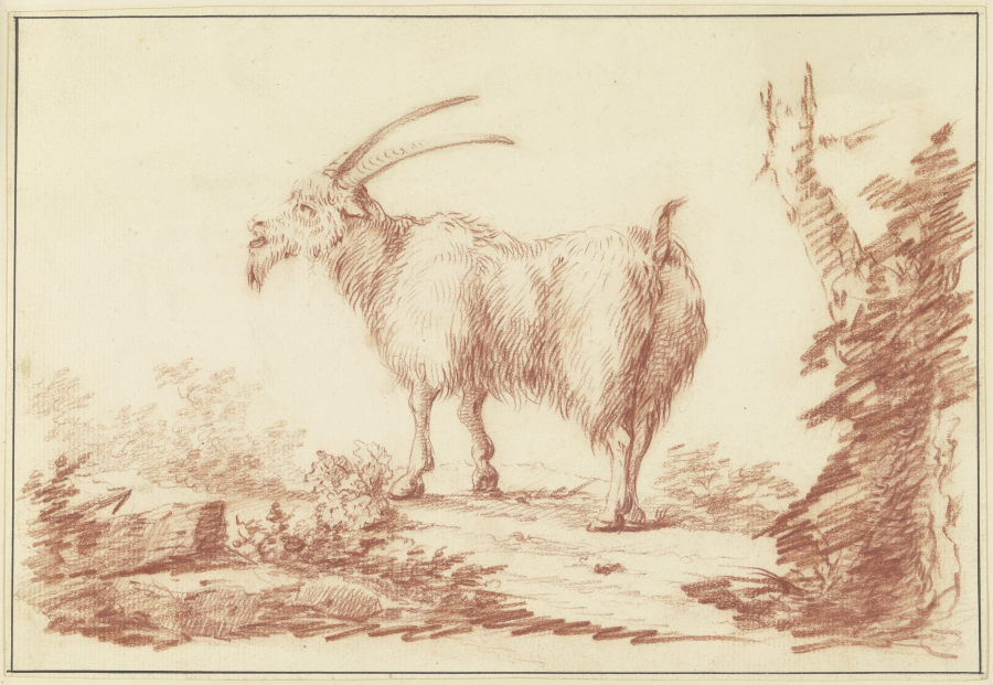 A goat to the left a Johann Ludwig von Pfeiff