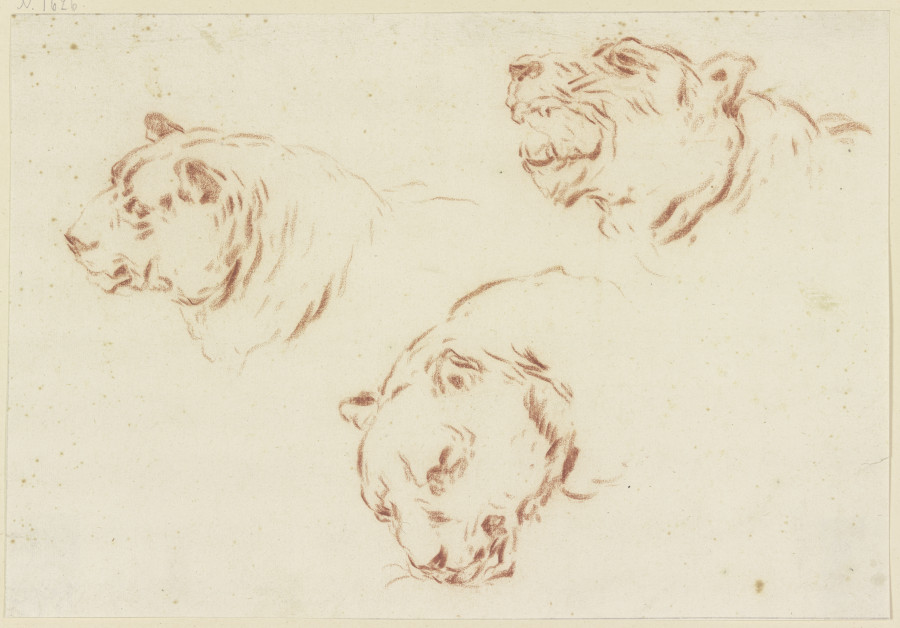 Three tiger heads a Johann Melchior Roos