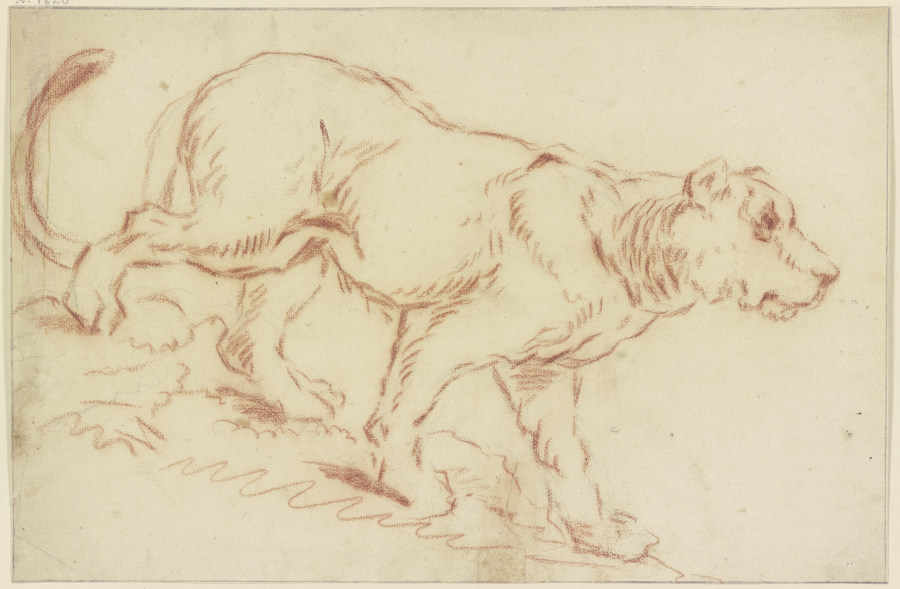 Herabschreitende Löwin nach rechts a Johann Melchior Roos