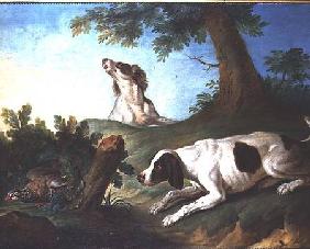 Spaniels putting up a partridge