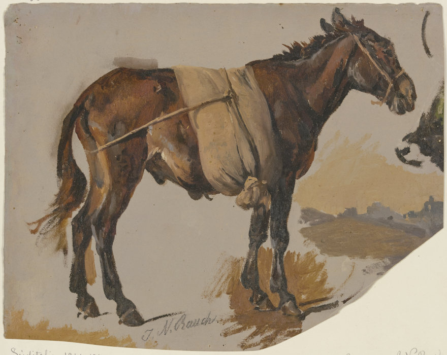 A mule a Johann Nepomuk Rauch