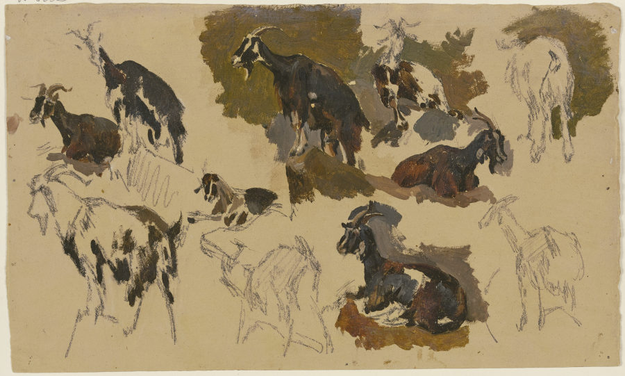 Eleven goats a Johann Nepomuk Rauch
