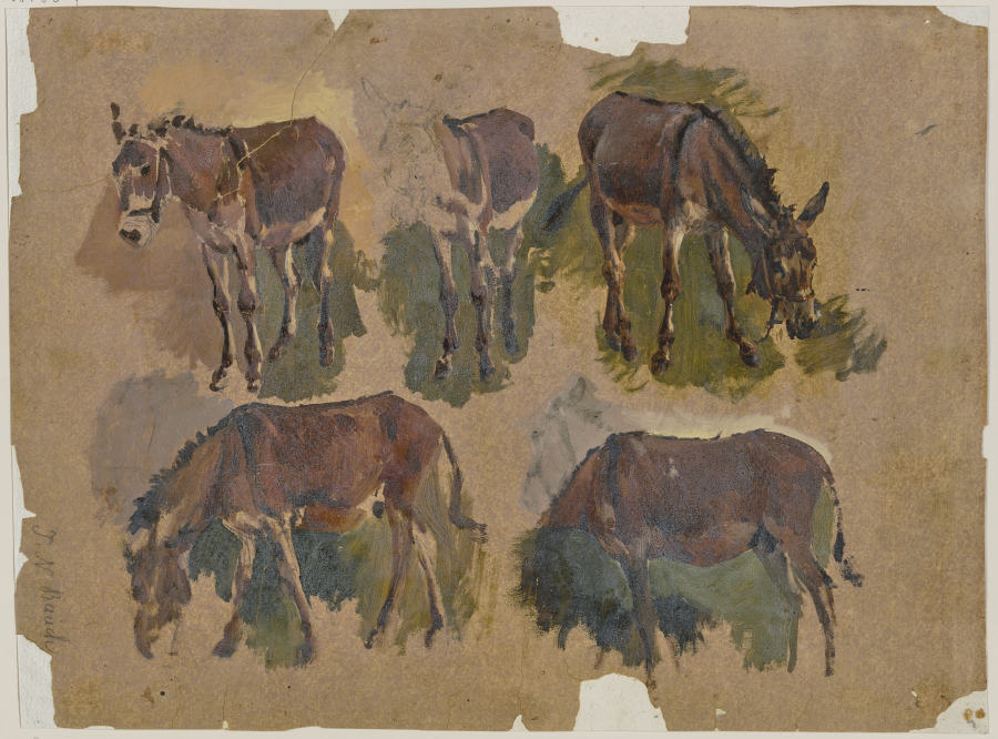 Five mules a Johann Nepomuk Rauch