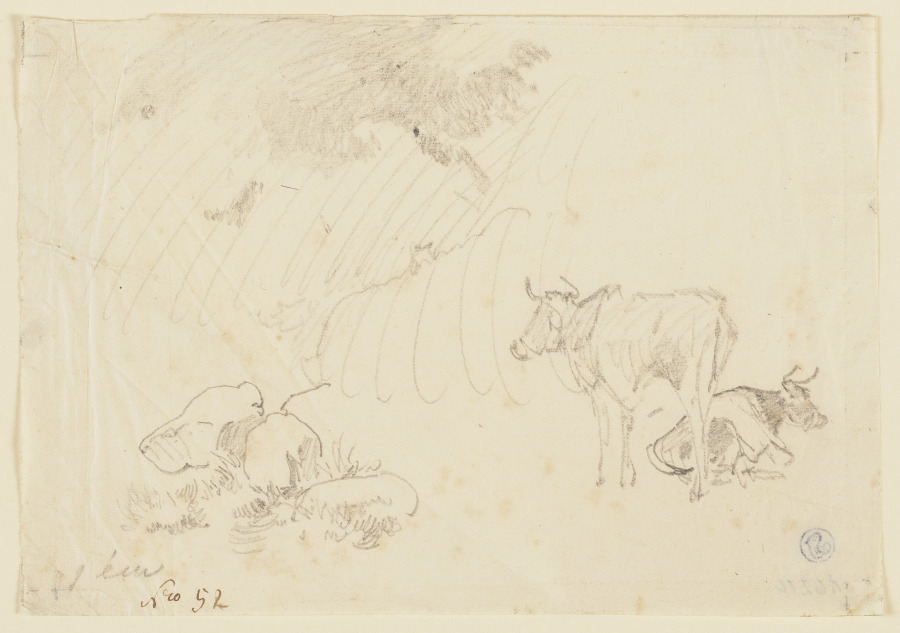 Zwei Kühe, eine stehend, eine liegend a Johann Nepomuk Rauch