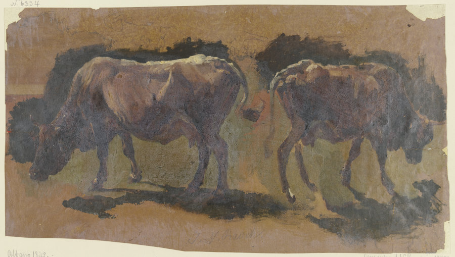 Two cows in Albano a Johann Nepomuk Rauch