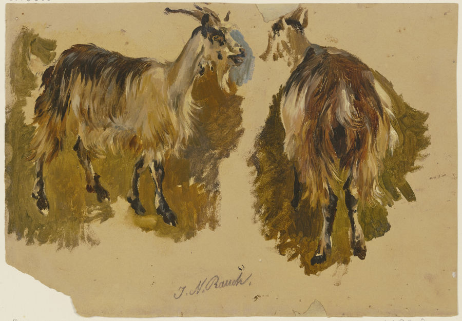 Two goats a Johann Nepomuk Rauch