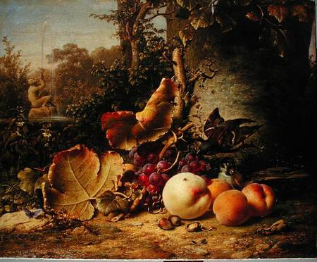 Fruit and Sparrows a Johann Wilhelm Preyer