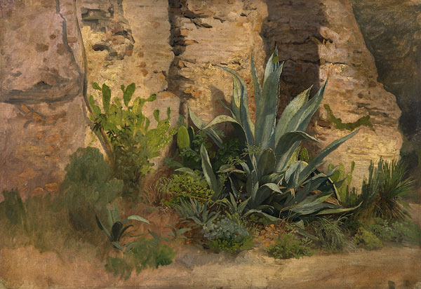 Studie einer Agave, Yucca, eines Feigenkaktus und Ginsters, an der Stadtmauer in Rom. a Johann Wilhelm Schirmer