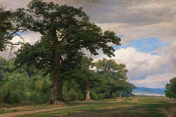 Großer Baum auf Waldschneise (Studie) a Johann Wilhelm Schirmer