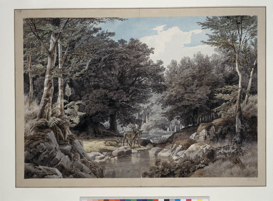 Waldinneres mit Hirschen am Wasser a Johann Wilhelm Schirmer