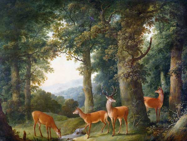 Waldlandschaft mit Rotwild a Johann Andreas Herrlein