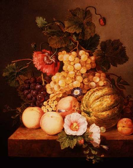 Still life with fruit a Johannes Cornelis Bruyn