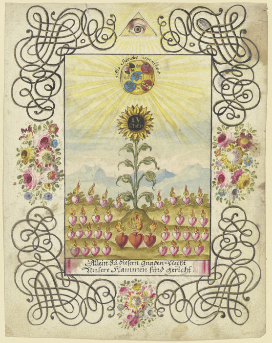 Sonnenblume mit Goldaufschrift a Johannes Esaias Nilson