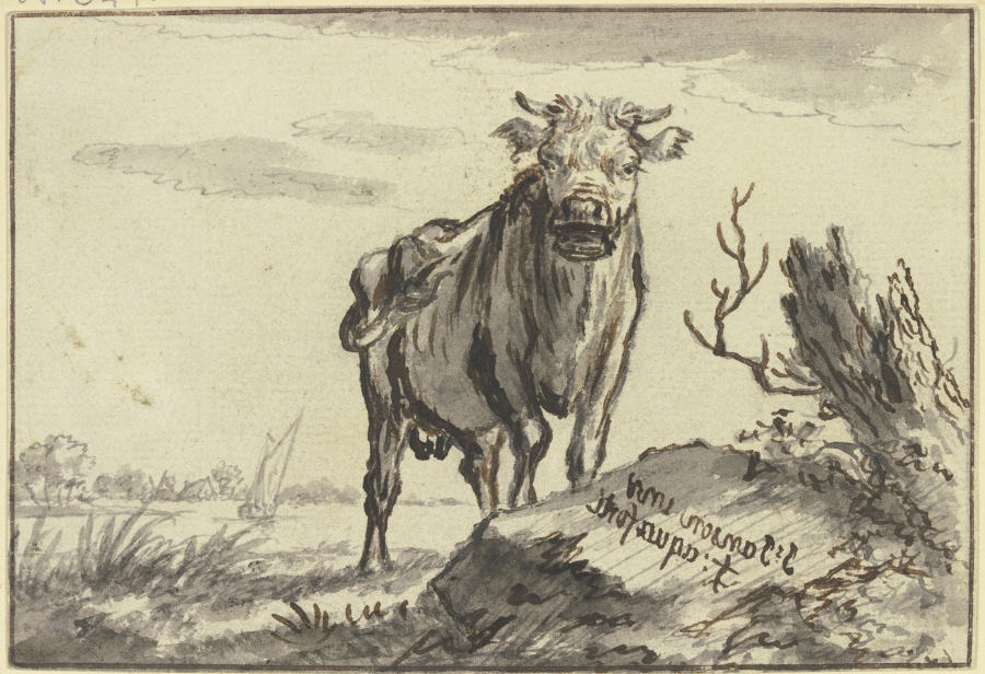 Ein Stier von vorne gesehen bei einem Baumstamm a Johannes Janson