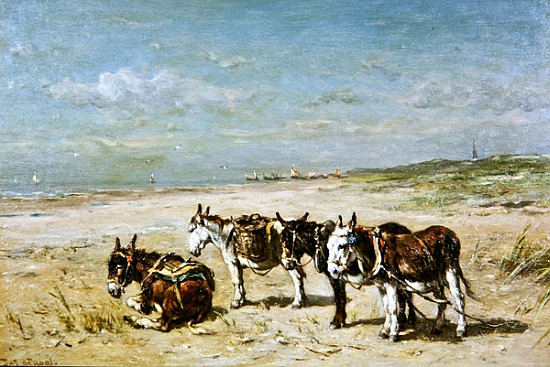 Donkeys on the Beach a Johannes Hubertus Leonardus de Haas