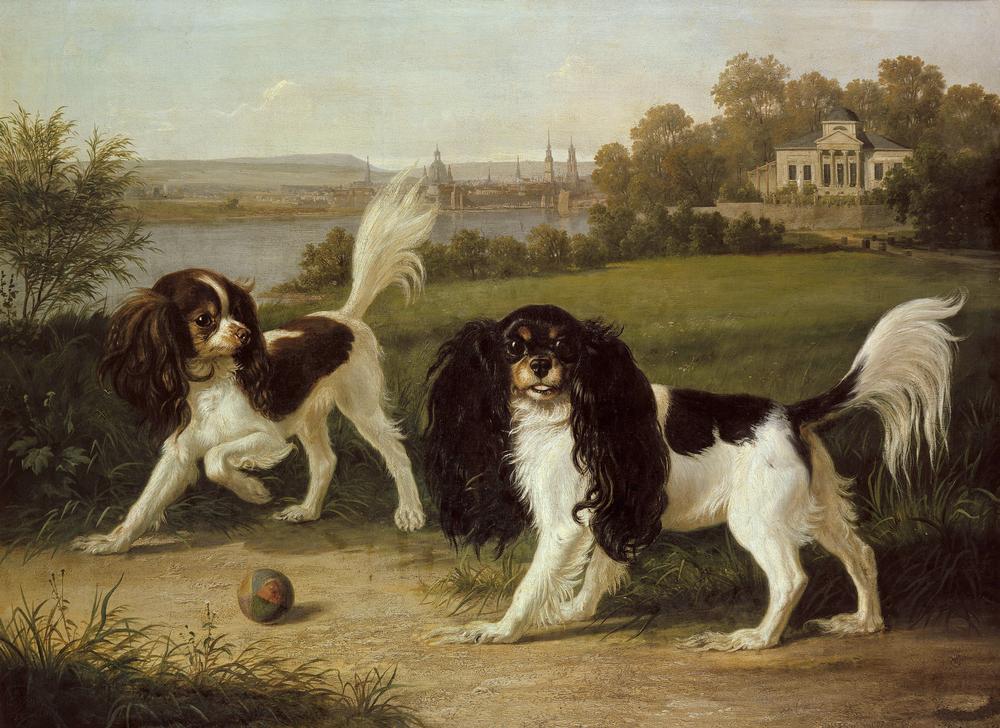 Zwei King-Charles-Hunde vor Dresden a Johann Friedrich Wilhelm Wegener