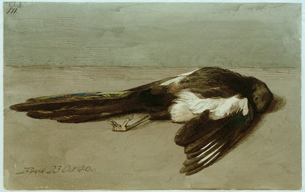 Eine tote Elster a Johan Thomas Lundbye