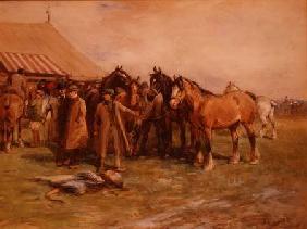 Horse Fair