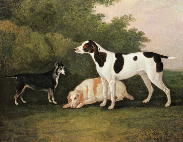 Three Dogs in a Landscape a John Boultbee