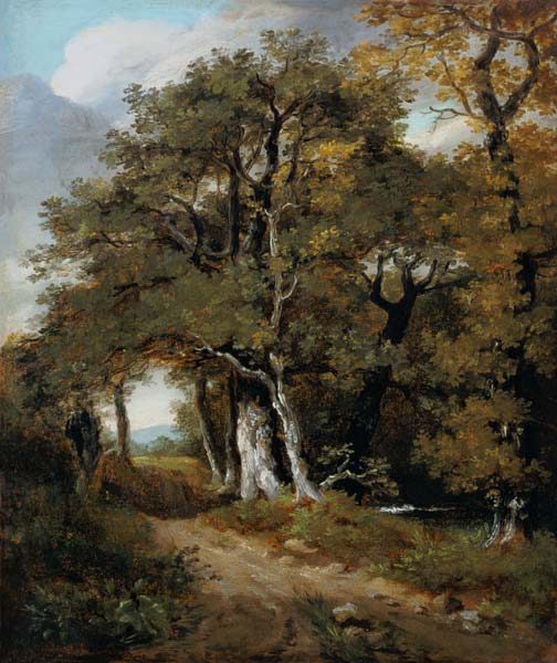 J.Constable, A Woodland Scene, c.1801. a John Constable