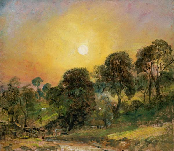 Trees on Hampstead Heath at Sunset (oil on paper) a John Constable