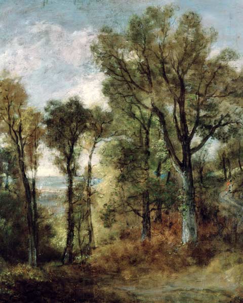 Woodland View in Suffolk a John Constable
