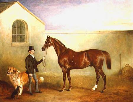 Mr Meakin holding Sir Robert Peel's Chestnut Hunter with his dogs 'Hector' and 'Jem' a John E. Ferneley il Giovane