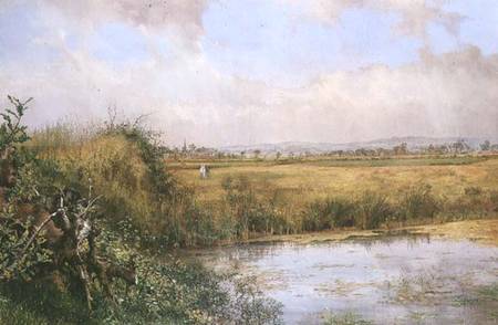 A View near Sefton, Lancashire a John Edward Newton