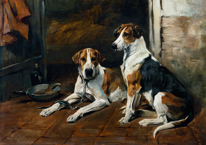 Hounds in a Stable Interior a John Emms