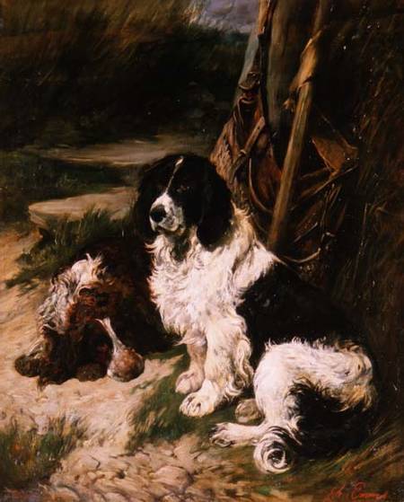 Brown and White and Black and White Spaniel a John Emms