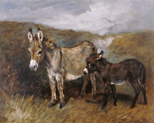 Donkeys out on the Moor a John Emms