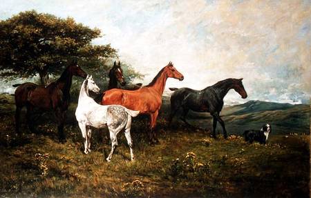Mares and Foal with a Sheepdog a John Emms