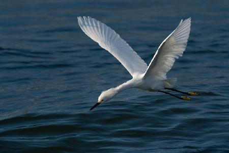 Gliding over the Ocean