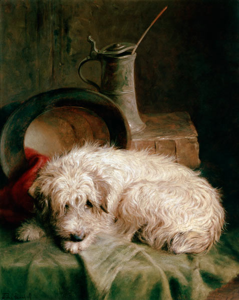 A Terrier a John Fitz Marshall